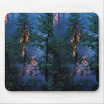 Forest Fire Mousepads