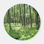 Forest magnet