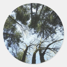 FOREST Motivational Stickers