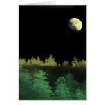 Forest Nights cards