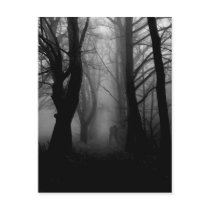 Forest of Fog Postcards