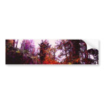 Forest Path