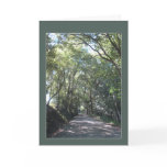 Forest Path cards