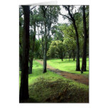 FOREST PATH cards