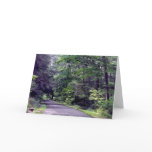 Forest path - notecards