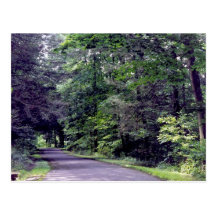 Forest Path - postcard