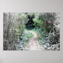 Forest Path Print