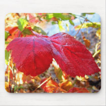 Forest Photo - Mousepad