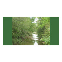 Forest Photo Cards