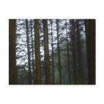 Forest Postcard