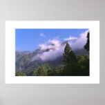 Forest posters