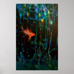 "Forest" Sarah Doherty 2008 posters