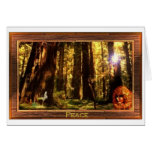 Forest scene cards