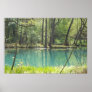 Forest Springs Poster