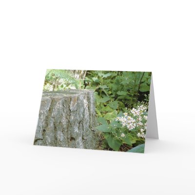 Forest Still Greeting Cards by Tsalagi56