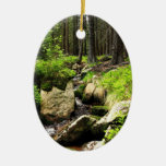forest stream christmas ornament