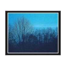 Forest  Stretched Canvas Print