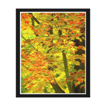 Forest  Stretched Canvas Print