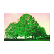 Forest  Stretched Canvas Print