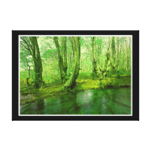 Forest  Stretched Canvas Print