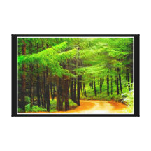 Forest Stretched Canvas Print