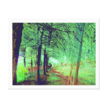 Forest   Stretched Canvas Print