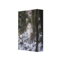 Forest Sun Rays in the Snow #24 Canvas Print