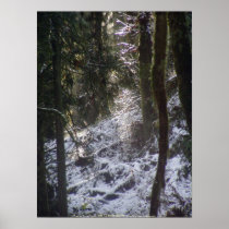 Forest Sun Rays in the Snow #24 Posters