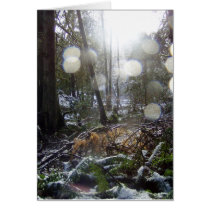 Forest Sun Rays in the Snow # 68 Greeting Card