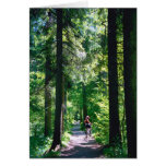 Forest Trail cards