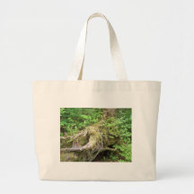 Forest Tree Growth Bags