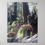 forest "troll" in the snow #2 posters
