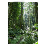 Forest Walk Greeting Card