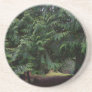 Forest Walk Coaster