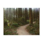 Forest Walk postcards