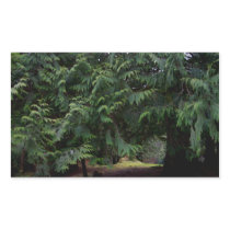 Forest Walk Rectangular Sticker