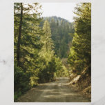 Forest Walking Path Flyer Design