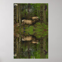 FOREST WILDLIFE Art Poster