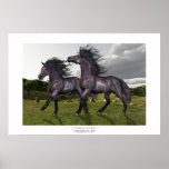 FORESTED HILLS PRINT