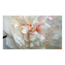 Forever Peony