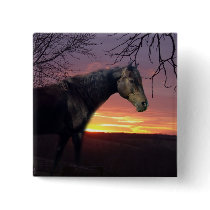 ForeverMorgans Black Horse in Purple Sunrise Button