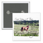 ForeverMorgans Fairytale Morgan Mare and Foal Pinback Buttons