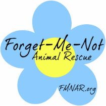 Forget-Me-Not 3D magnet Photo Cutout