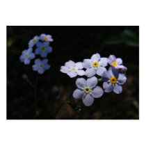 Forget Me Not ~ ATC