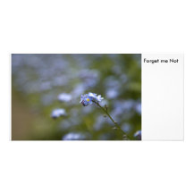 Forget me Not Customized Photo Card