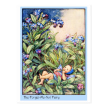 Forget-Me-Not Fairy Post Cards