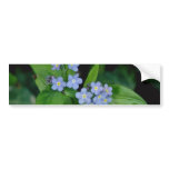 Forget-me-not flowers bumper stickers
