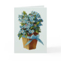 Forget Me Not Flowers cards