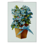 Forget Me Not Flowers Greeting Cards