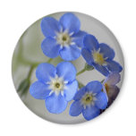 Forget Me Not magnets